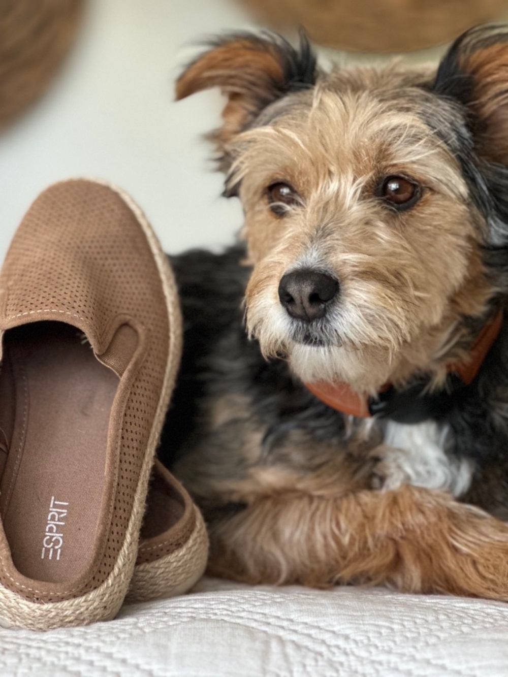 Espirit Espadrille mules.  Excellent condition.  My daughter wore them once.